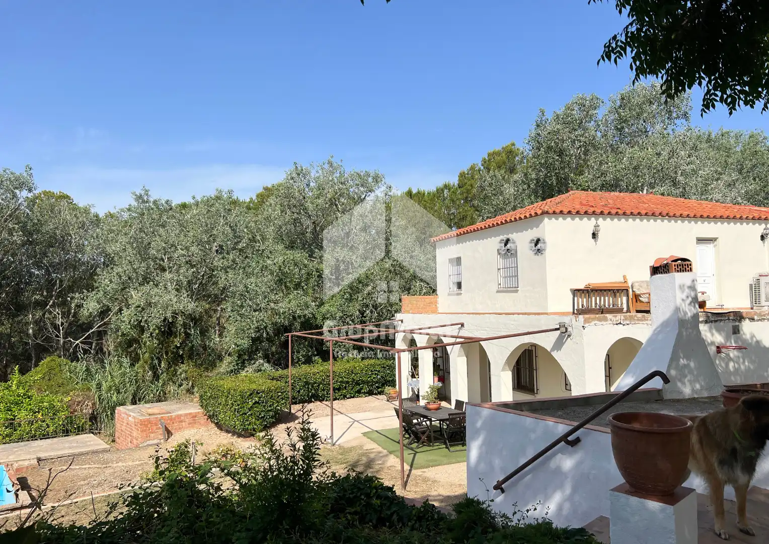 Casa amb piscina en venda a Camí de les Oliveres, imagen 2