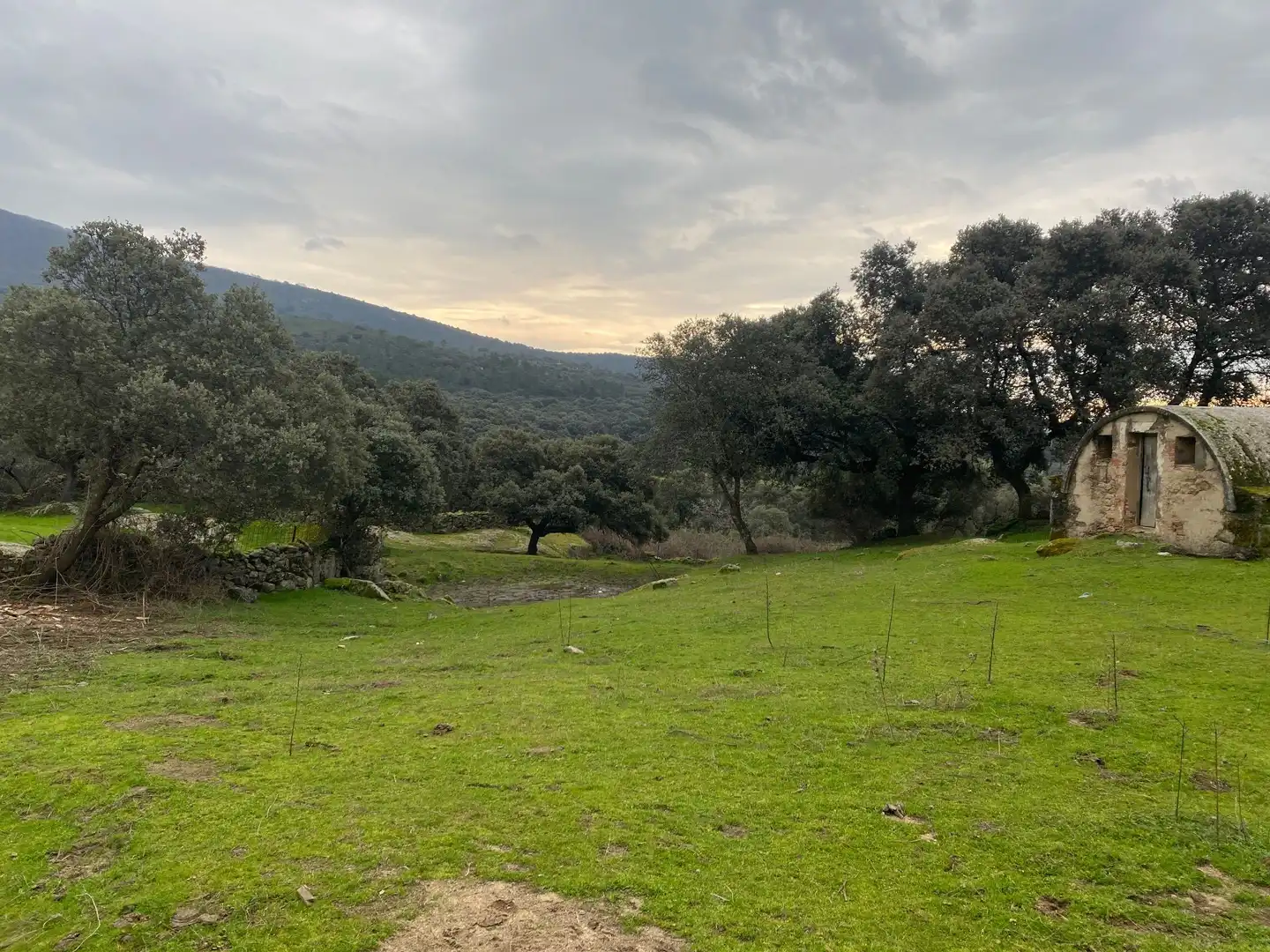 Terreno en venta en Navamorcuende