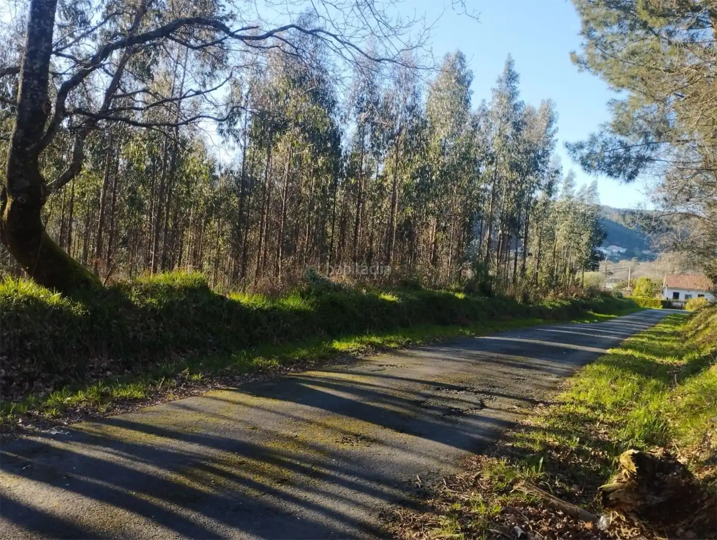 Maison à vendre à Aldea Pazos 25, imagen 5