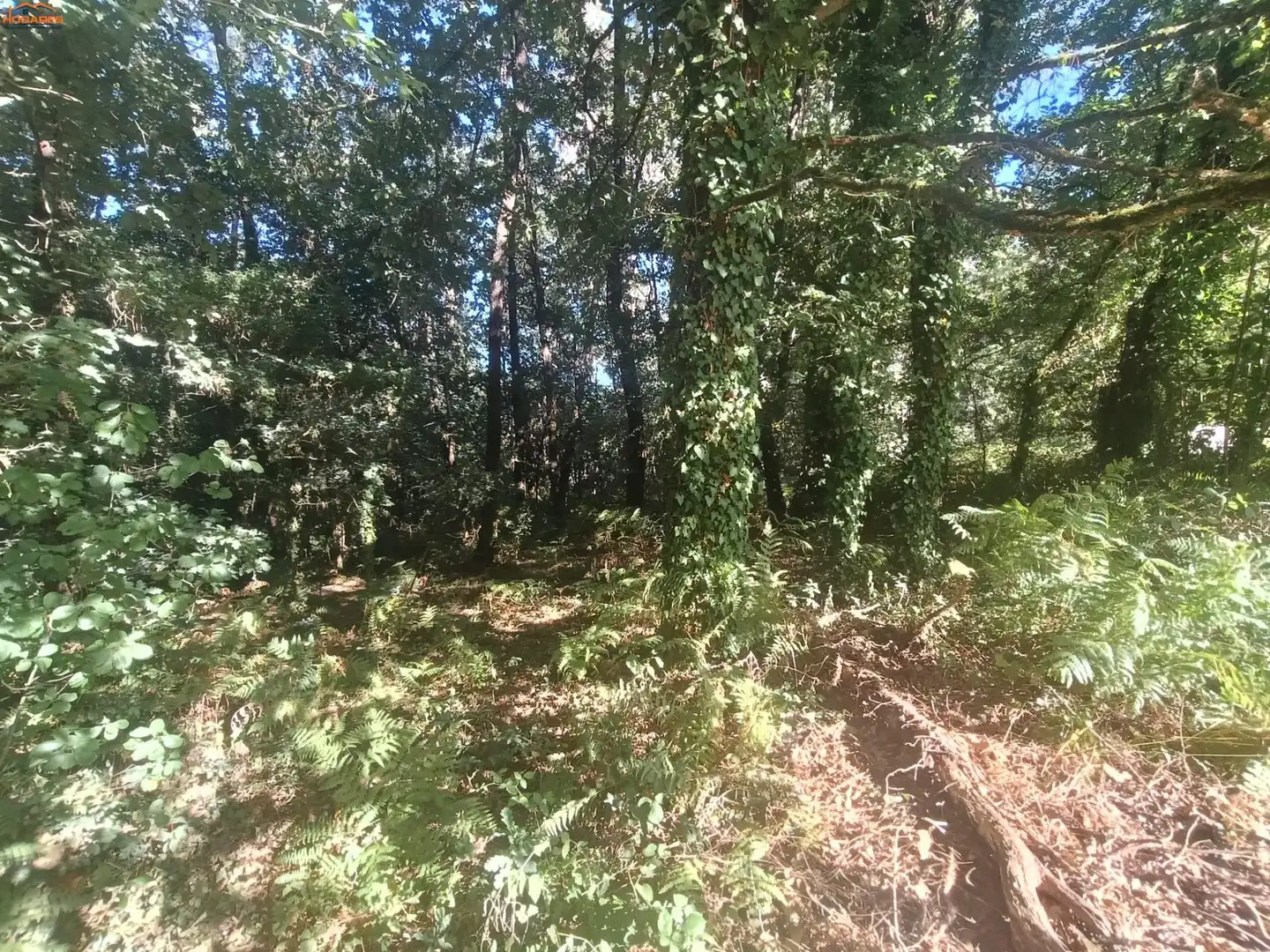 Casa o xalet en venda en Salvaterra de Miño