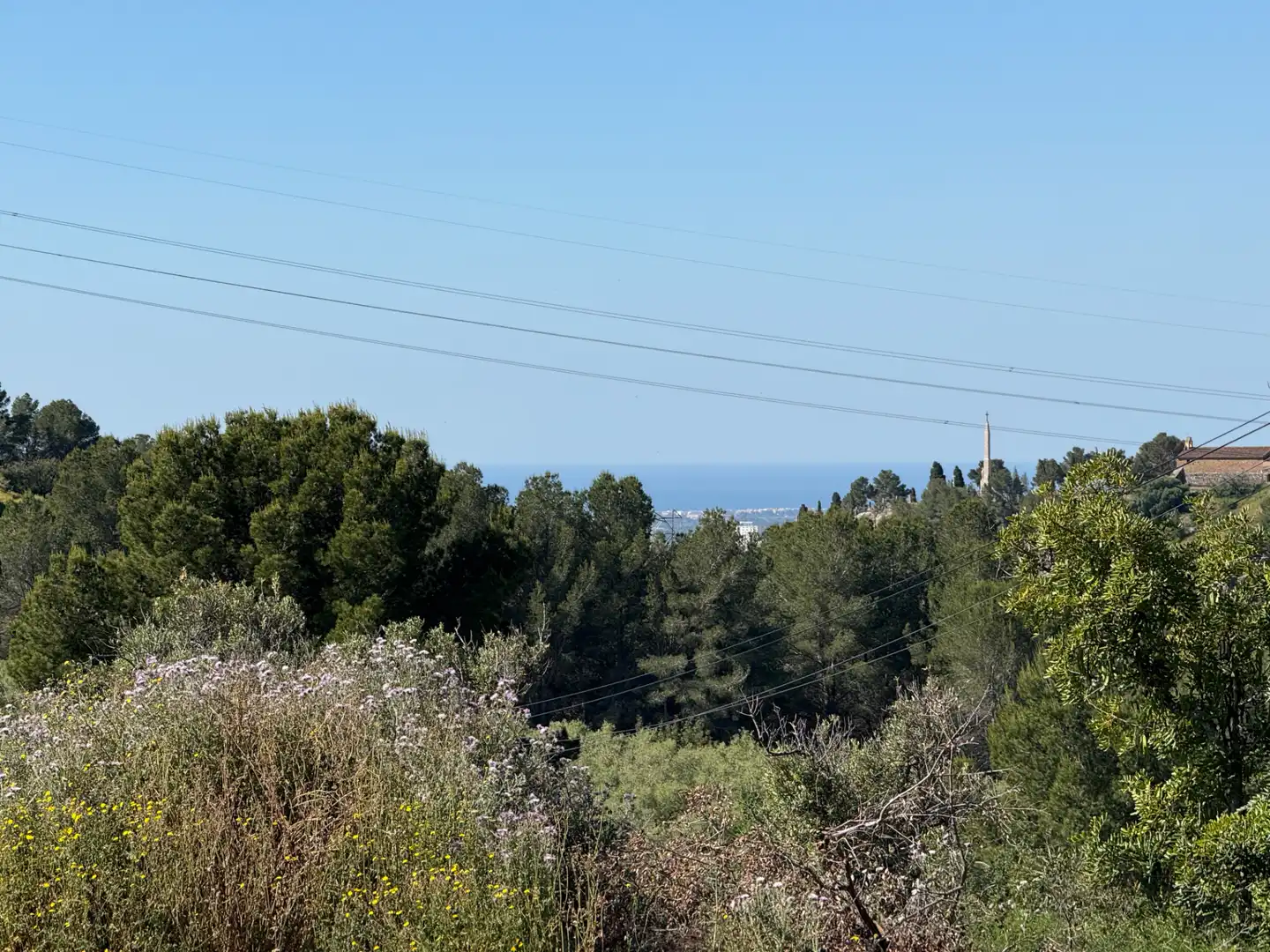 Terreny residencial en venda a Carrer dels Roures 11, imagen 26