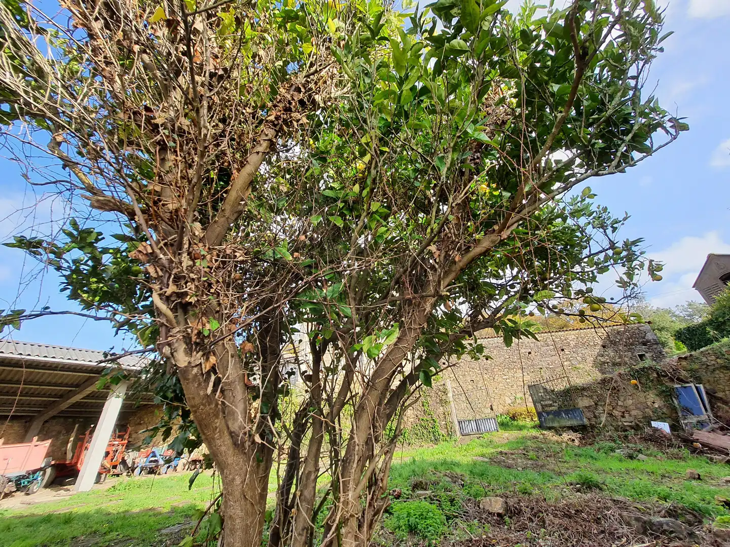 Jardí de Casa o xalet en venda en Coristanco