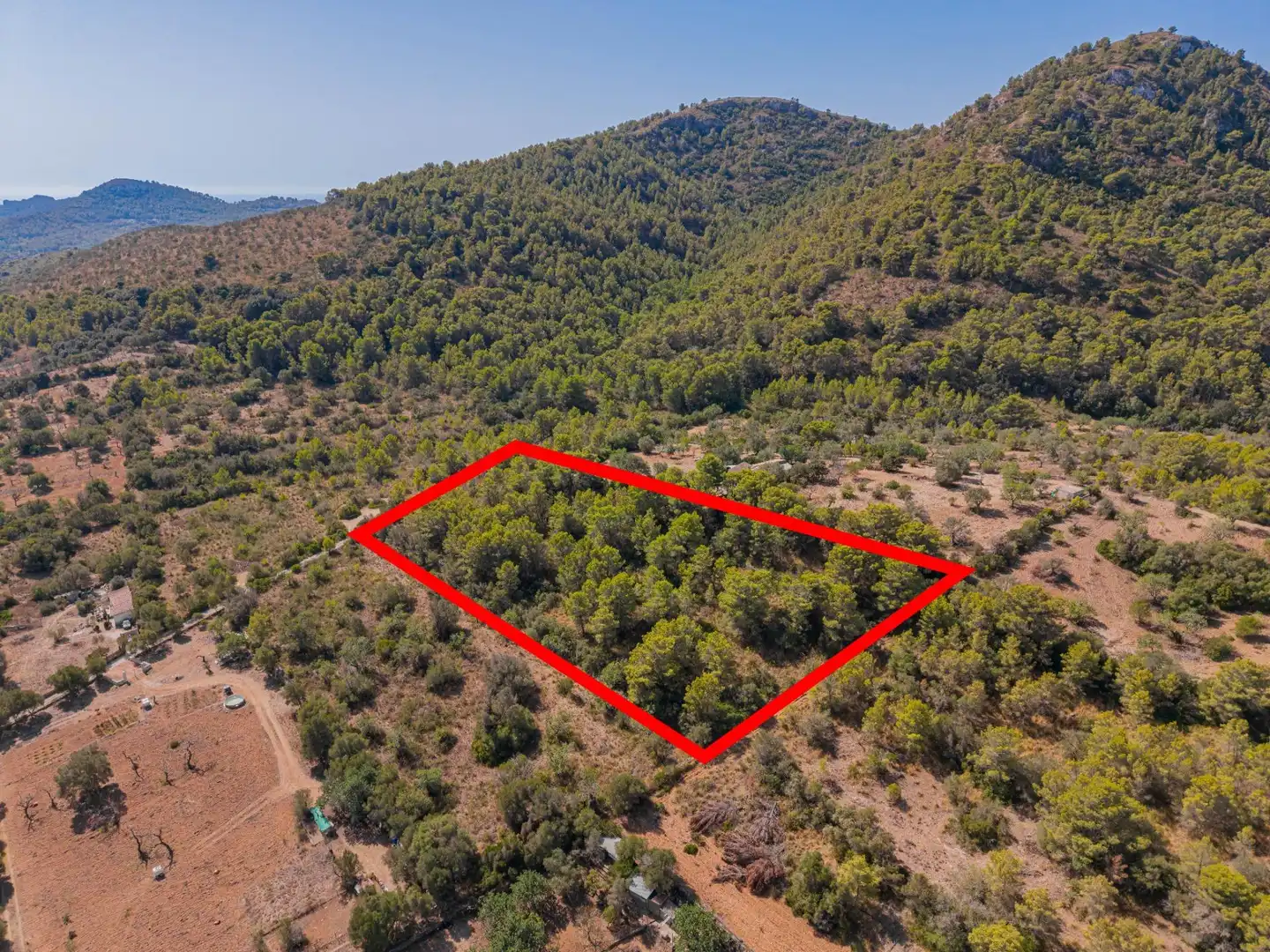 Rural land for sale in Son Servera Poble