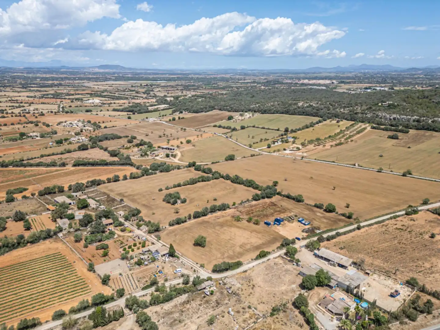 Terreno rustico in vendita a Felanitx Poble, imagen 16