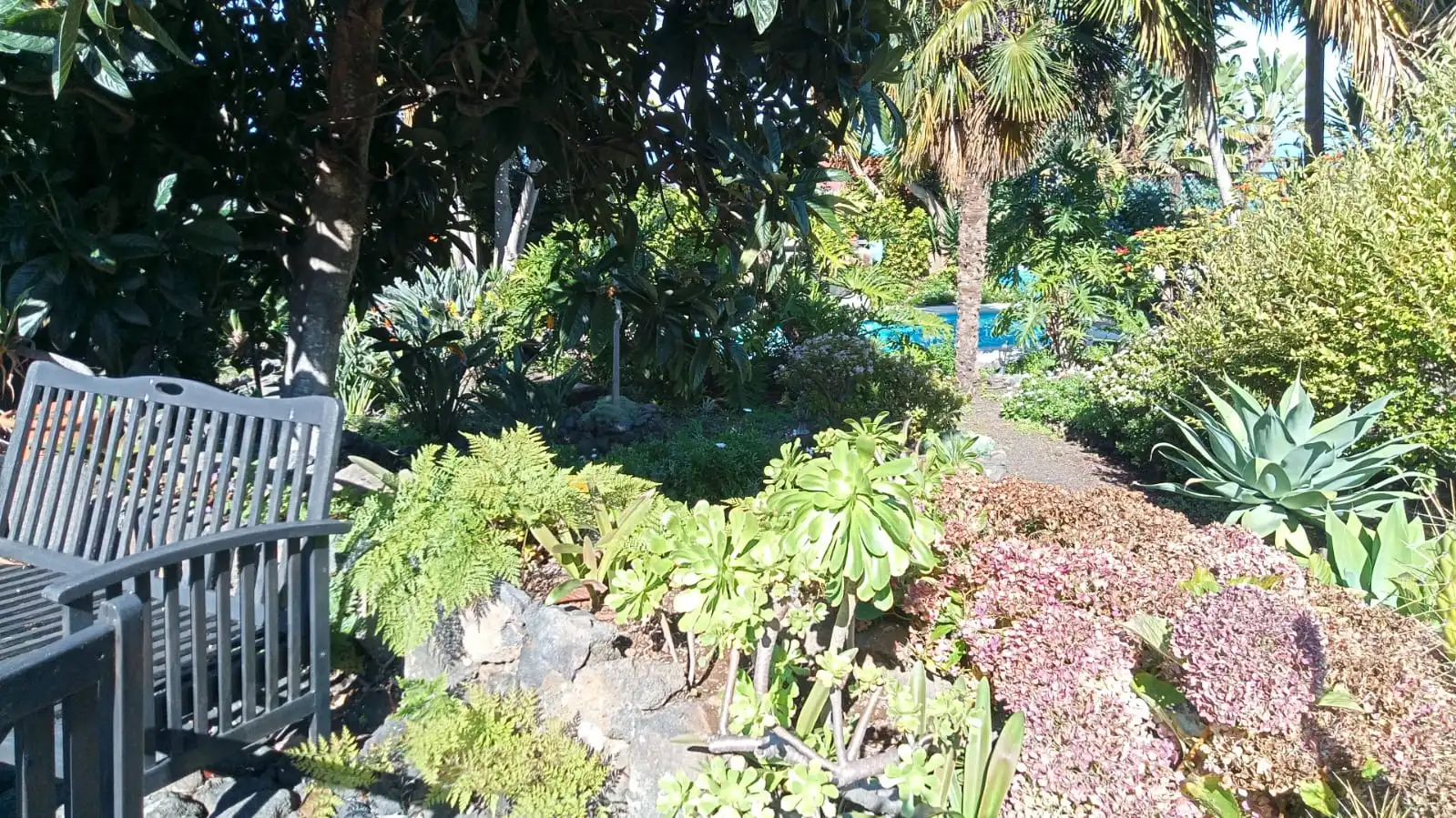 Jardí de Finca rústica en venda en Icod de los Vinos amb Jardí privat, Terrassa i Piscina