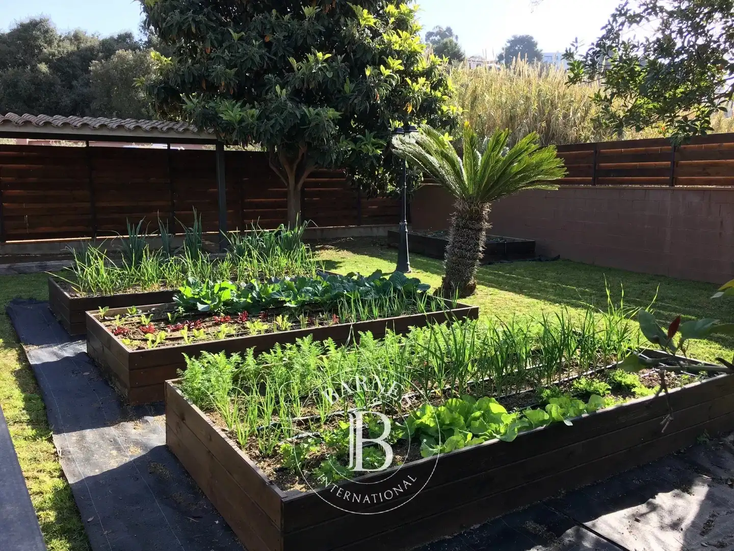 Jardí de Casa o xalet en venda en Santa Susanna amb Aire condicionat, Calefacció i Jardí privat