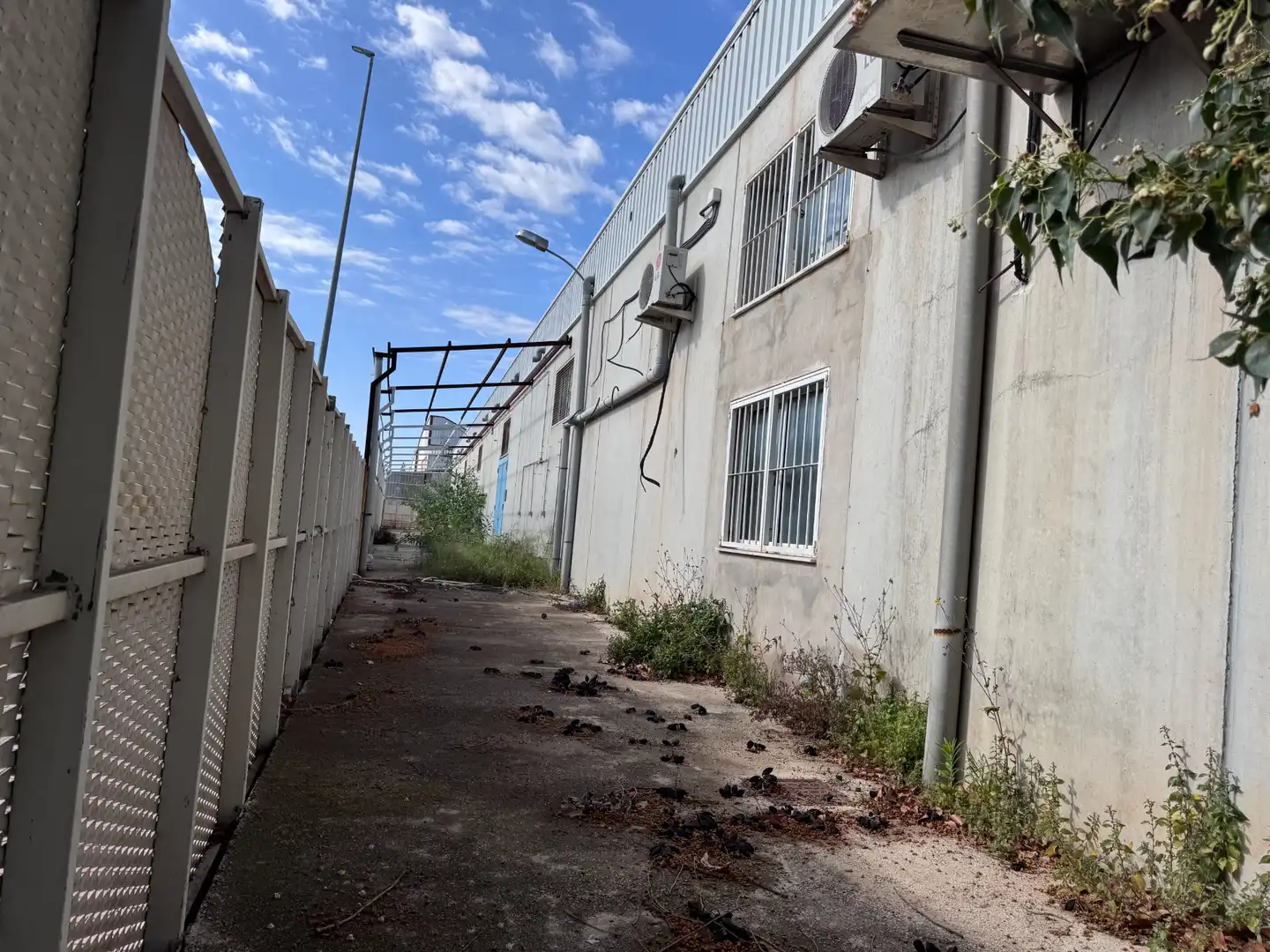Exterior view of Industrial buildings for rent in Ceutí