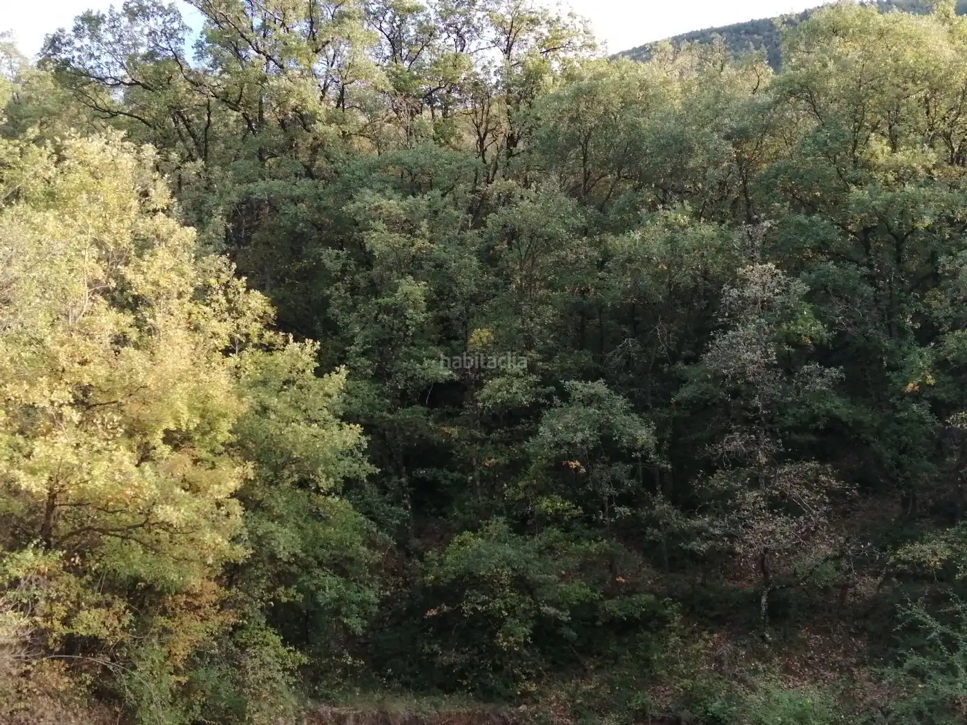 Doppelhaushälfte zur Miete in Carrer Unica 11, imagen 7