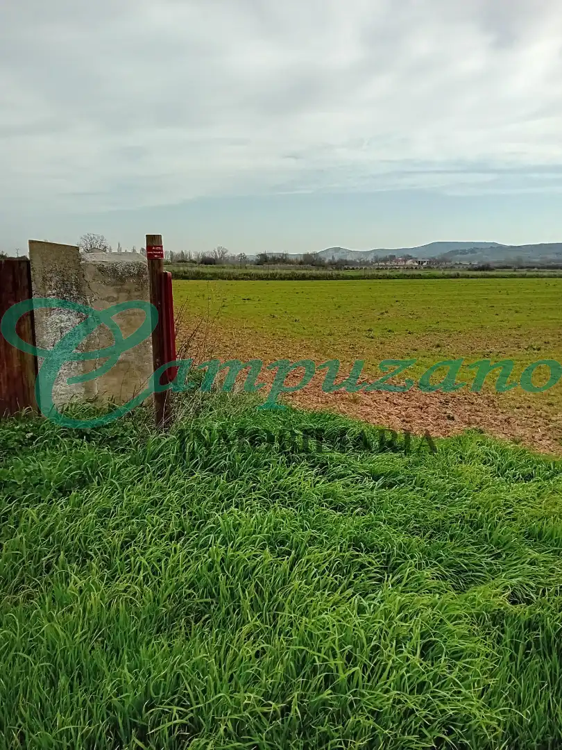 Terreno en venta en Calera y Chozas