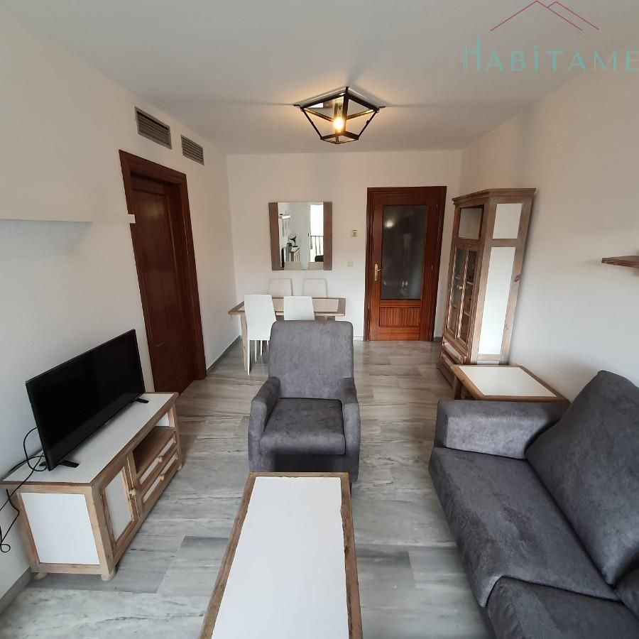 Sala d'estar de Apartament de lloguer en  Granada Capital amb Aire condicionat, Calefacció i Terrassa