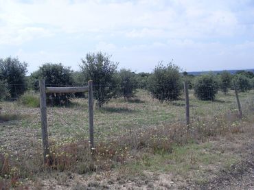 Grundstücke und Bauplätze zum Verkauf in Barbastro