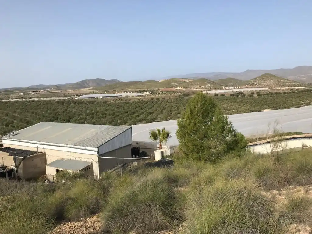 Terreny rústic en venda a Uleila del Campo, imagen 2