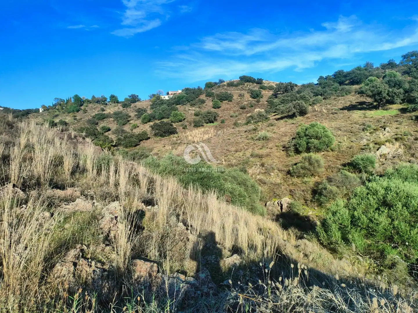 Residencial de alquiler en Alcolea