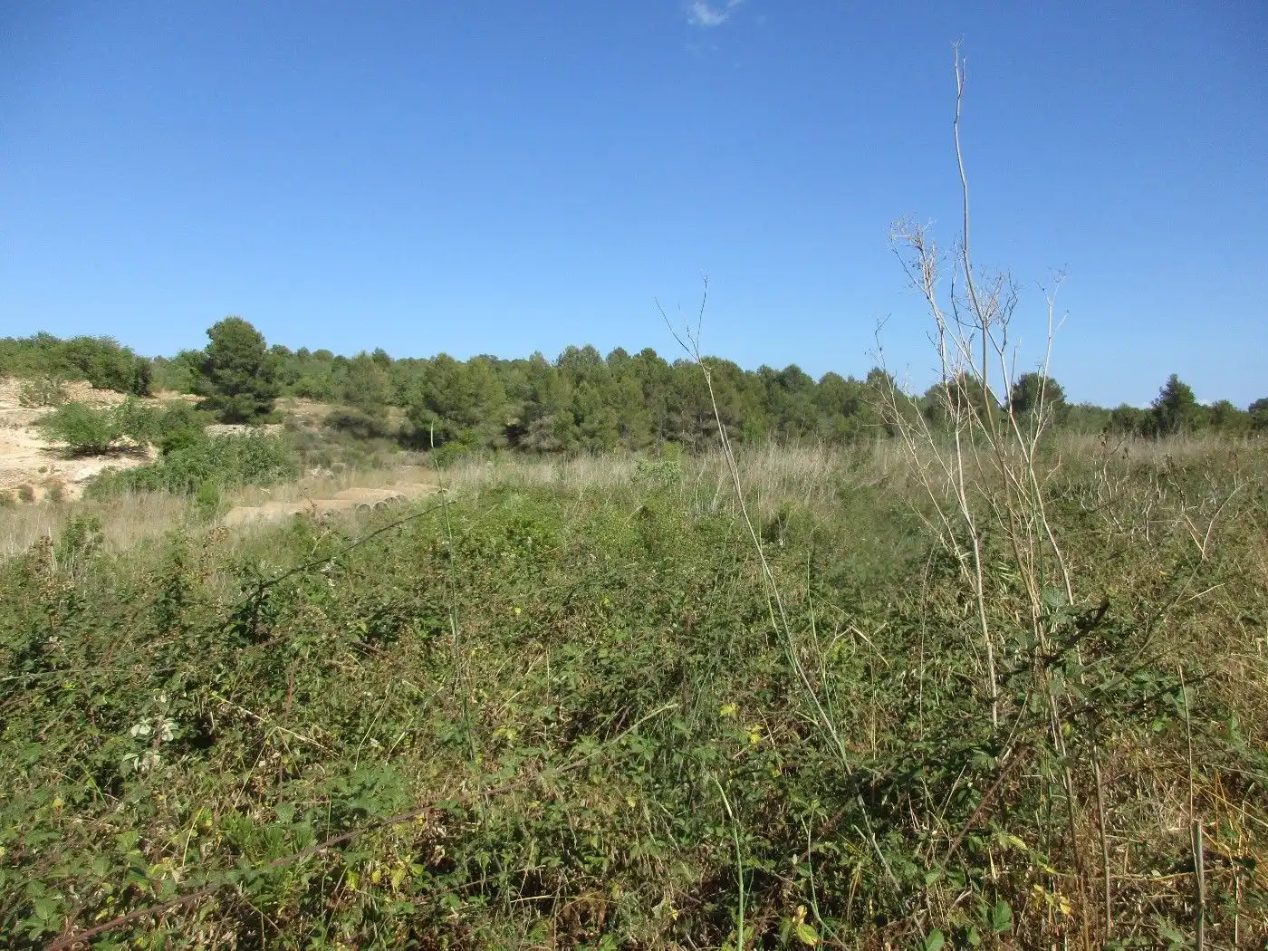 Residential land for sale in Passeig de l'Estació 11, imagen 15