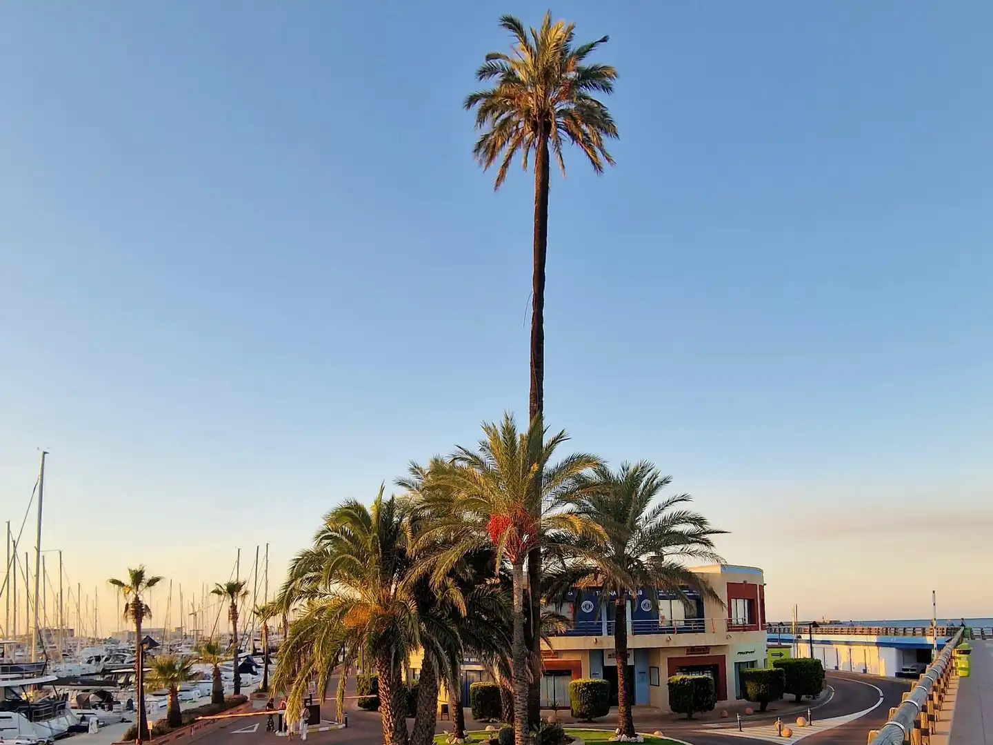 Apartamento con jardín en venta en El Puerto, imagen 47