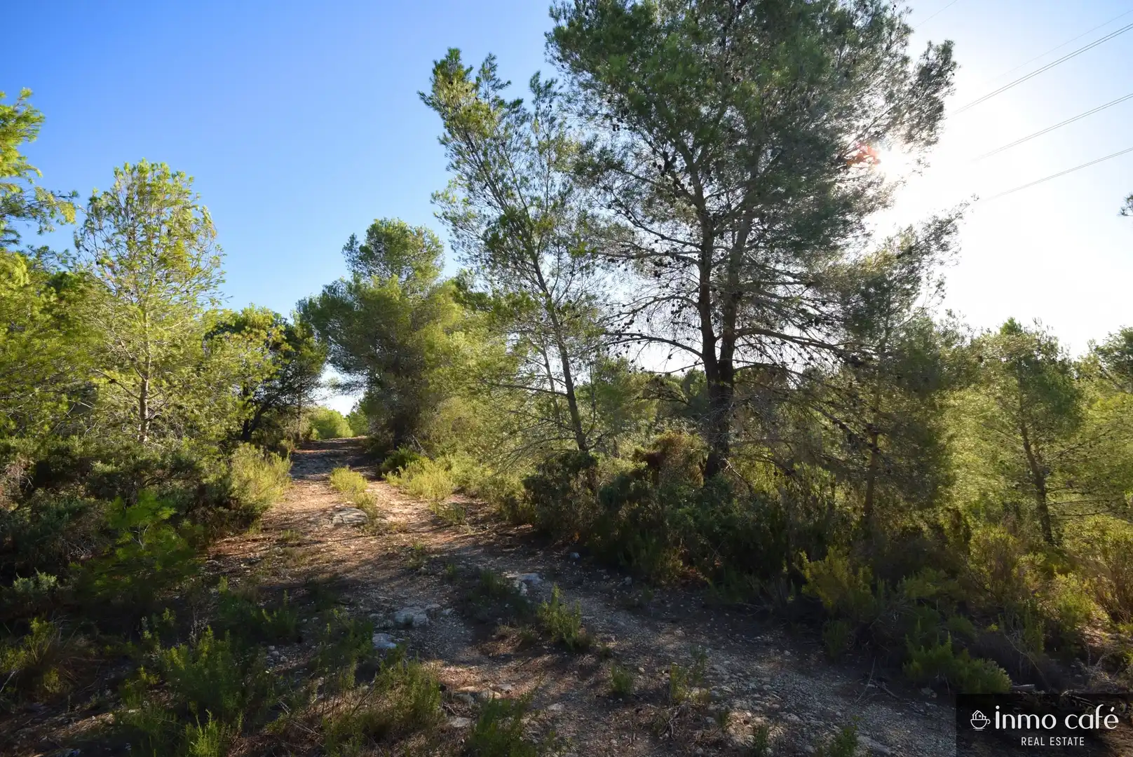Terreny rústic en venda a L'Alcúdia de Crespins, imagen 17