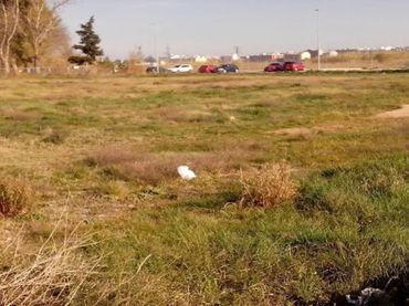 Terreny rústic en venda a Benifaió