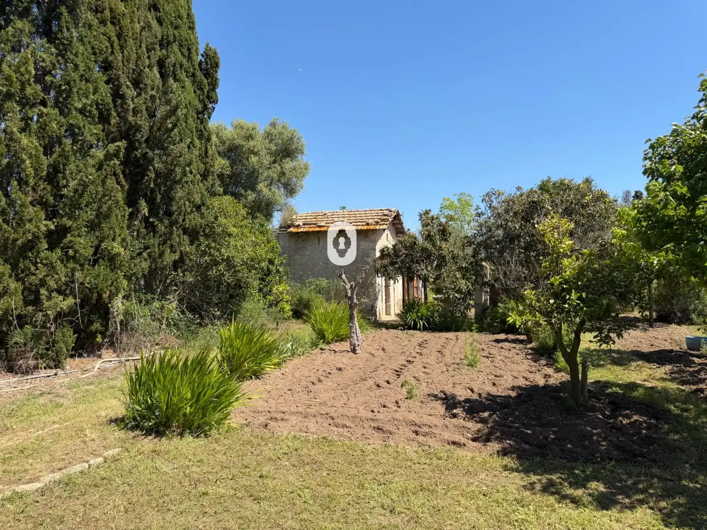 Jardín de Finca rústica en venta en Binissalem