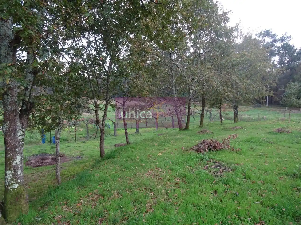 Terreny residencial en venda a Mos, imagen 6