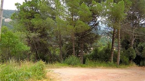 TERRENO EN VENTA EN CENTELLES, immagine 4