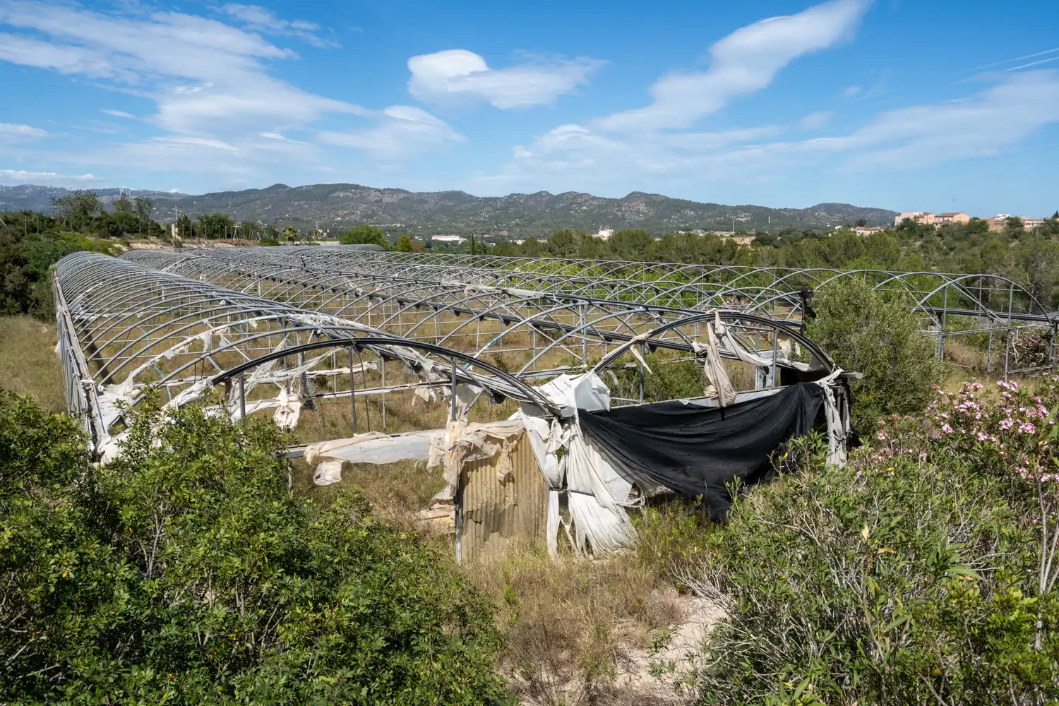 Rural land for sale in Camí del Barranc de Roé 94, imagen 2