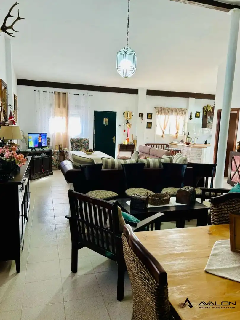 Sala d'estar de Finca rústica en venda en Aljaraque amb Jardí privat, Terrassa i Traster