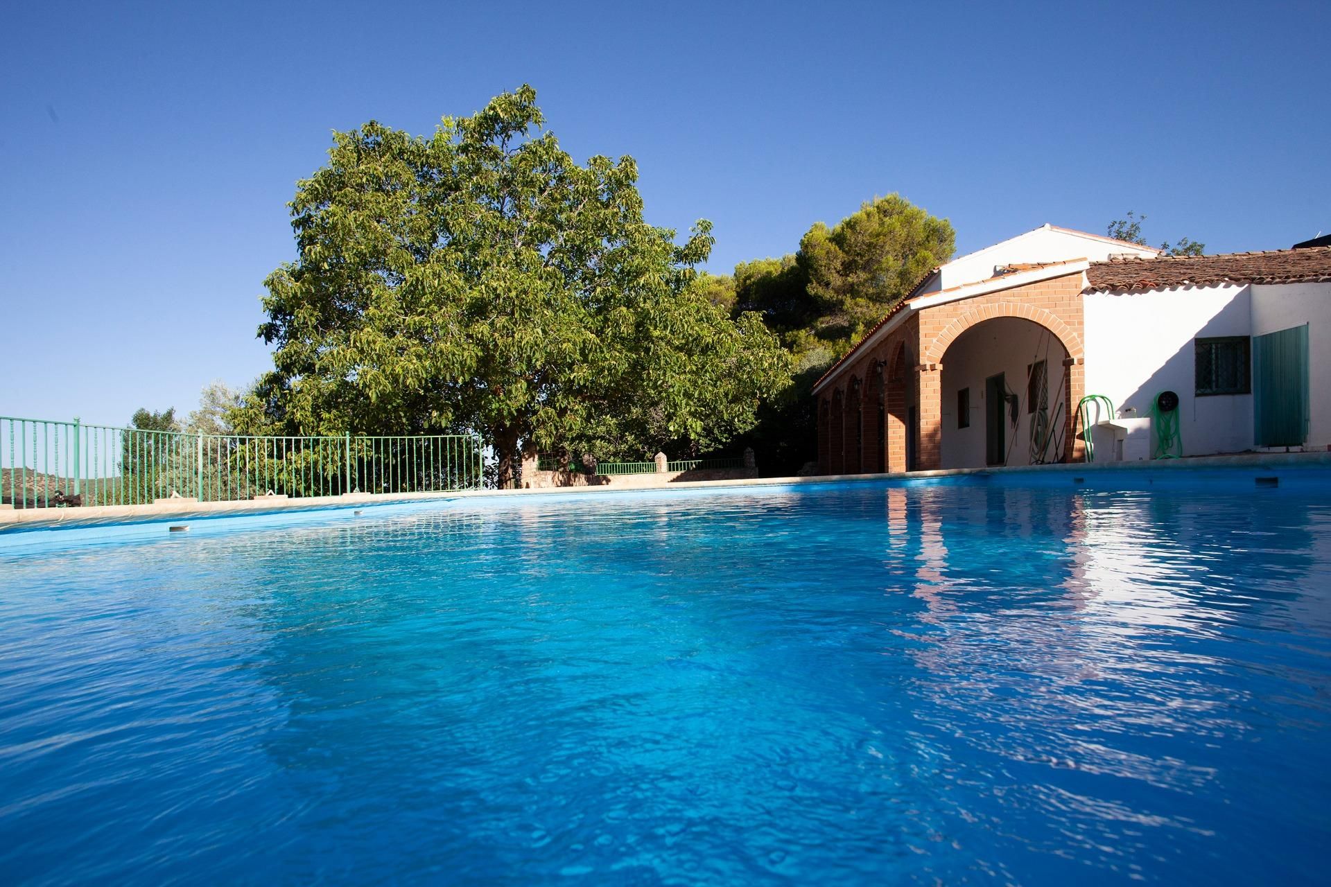 Swimming pool of Country house for sale in Beas de Segura