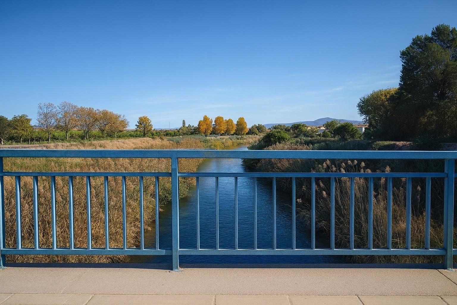 Vista exterior de Terreno en venta en  Murcia Capital