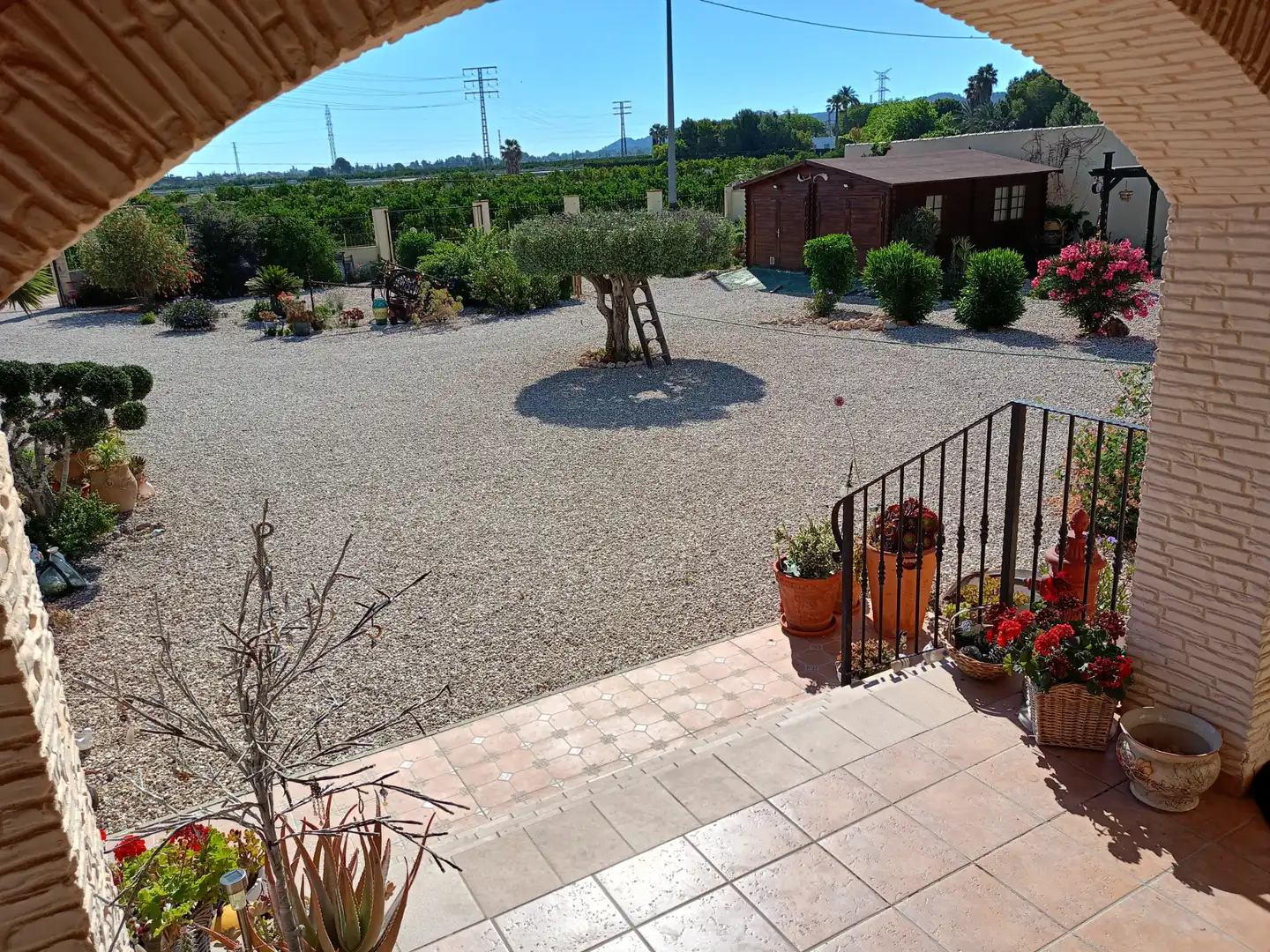 Terraza de Casa o chalet en venta en Jacarilla con Jardín privado, Terraza y Piscina