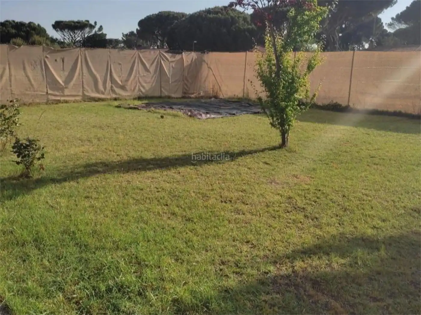 Casa in vendita a Calle Avellano 9, imagen 23