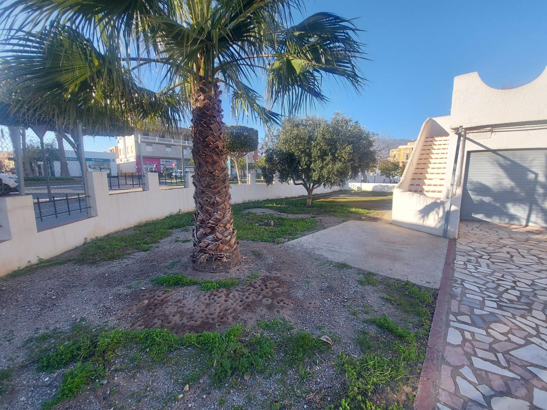 Vista exterior de Casa o xalet en venda en El Ejido amb Jardí privat, Terrassa i Traster