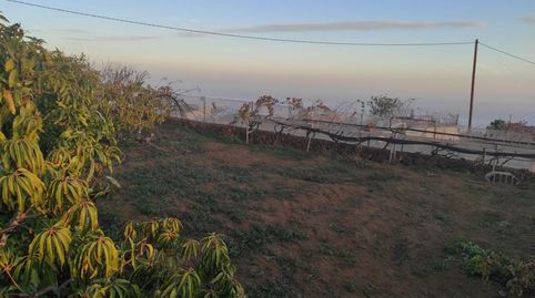 Foto 4 de Casa o xalet en venda a La Goronita, El Pinar de El Hierro, Santa Cruz de Tenerife