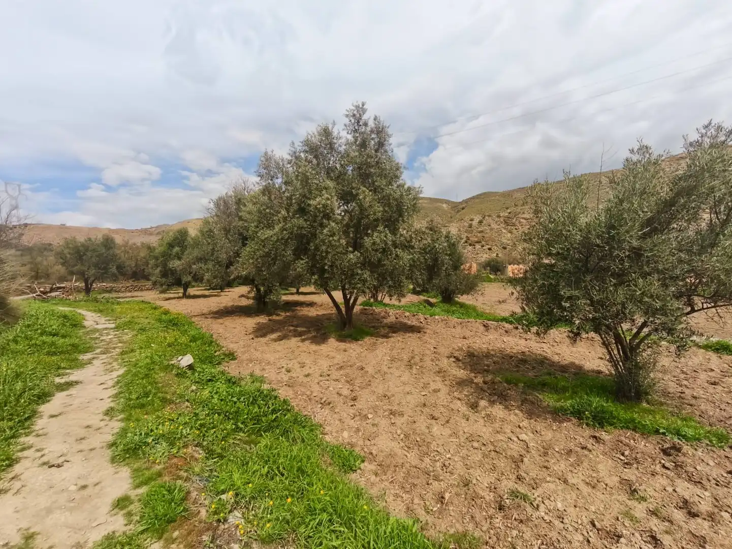 Finca rústica en venda en Abla