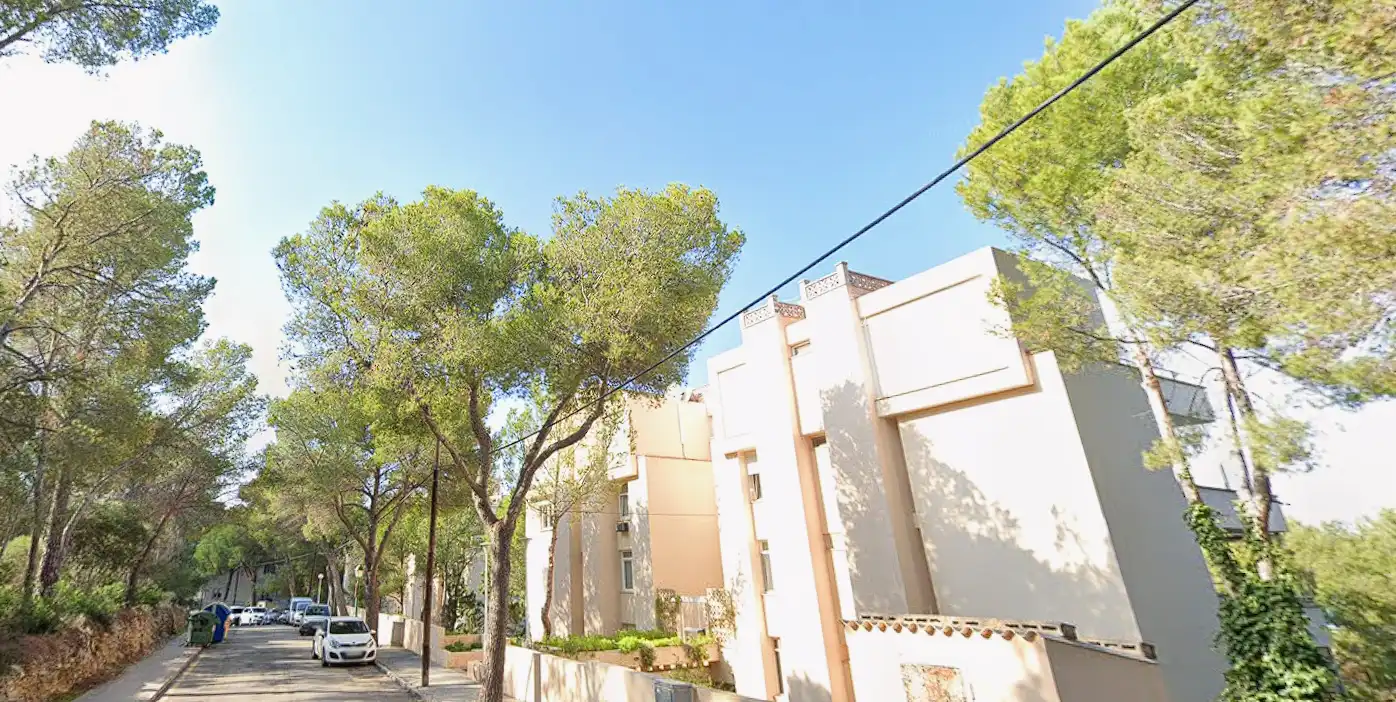 Business premises for sale in Llevant