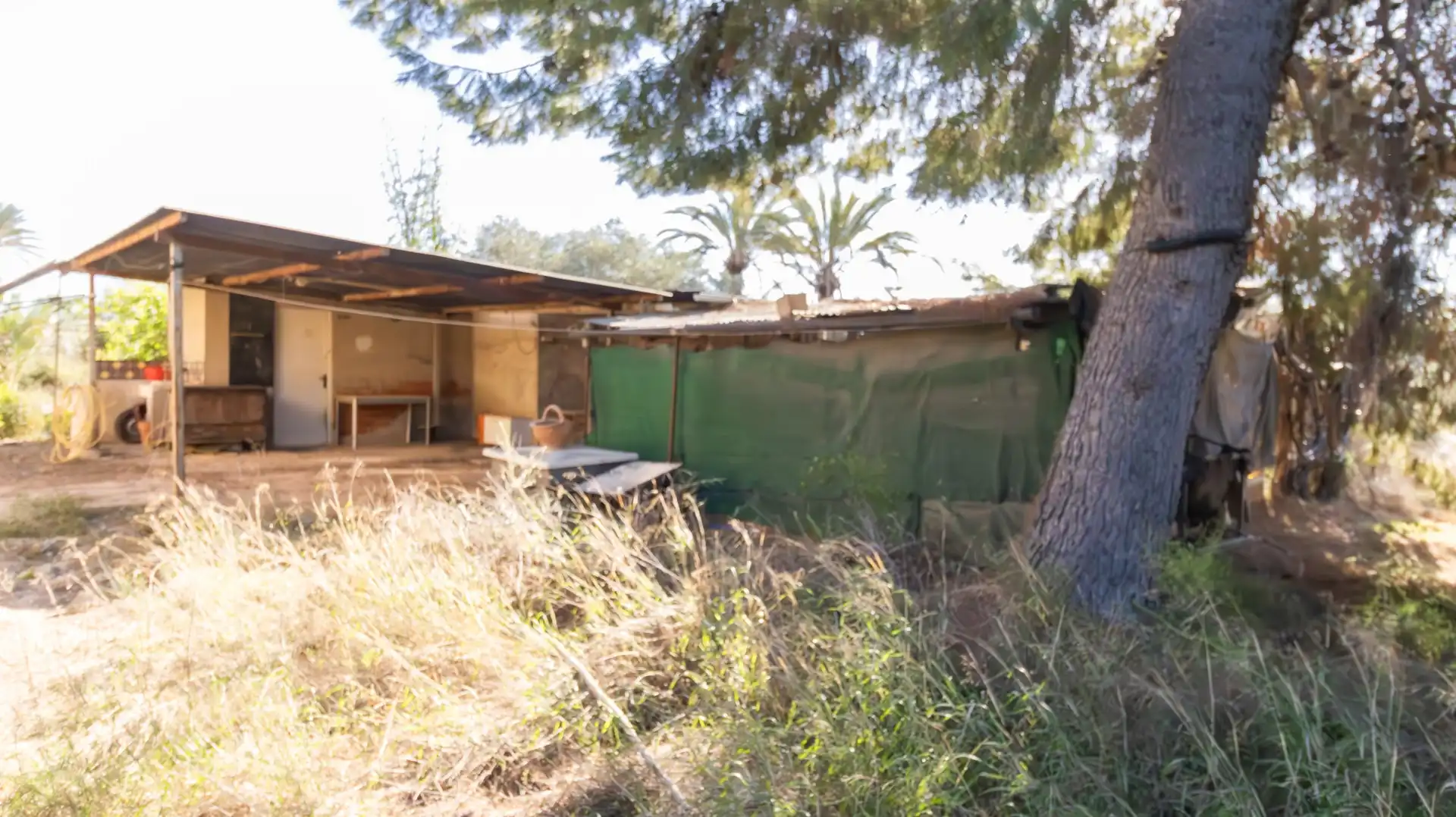 Vista exterior de Casa o chalet en venta en Elche / Elx con Trastero y Piscina