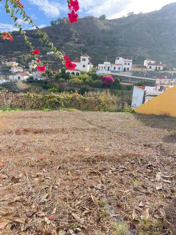 Terreno residencial en Venta en Calle Pino Rivero, S/N en Teror pueblo