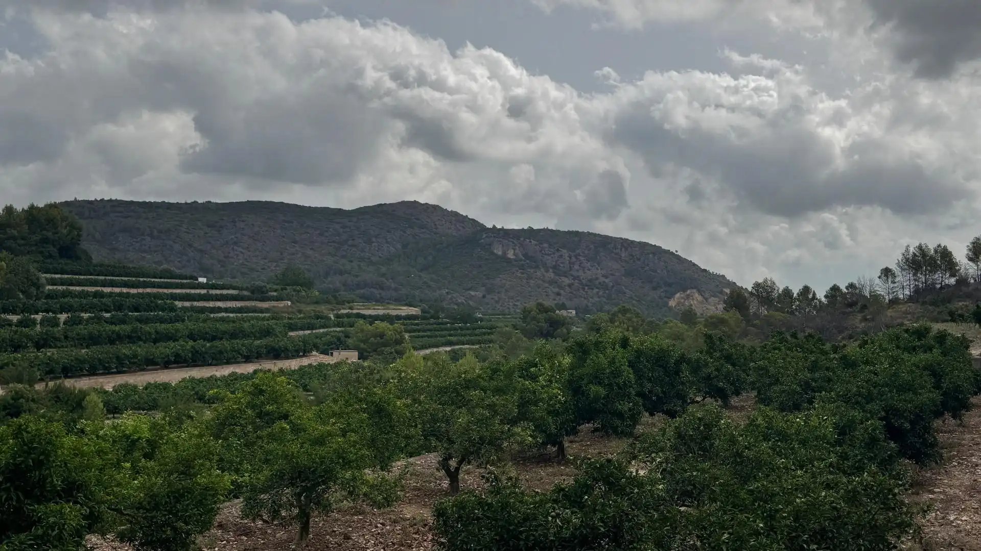 Residencial en venta en L'Atzúbia