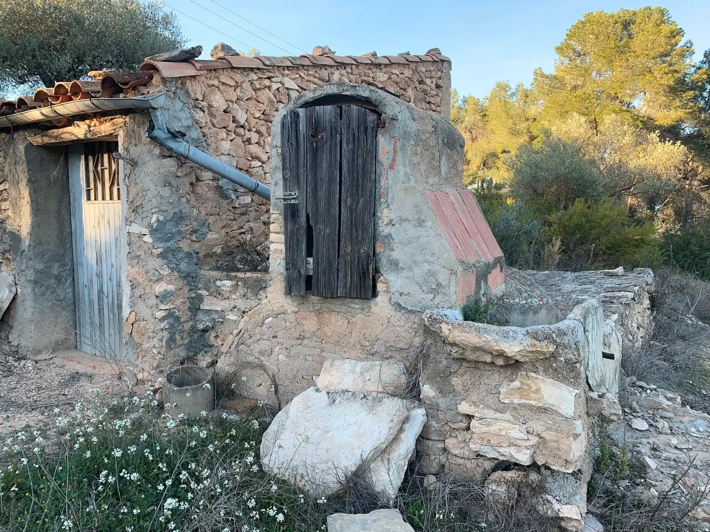 Terrain rustique à vendre à Avinguda Lluís Companys, imagen 2