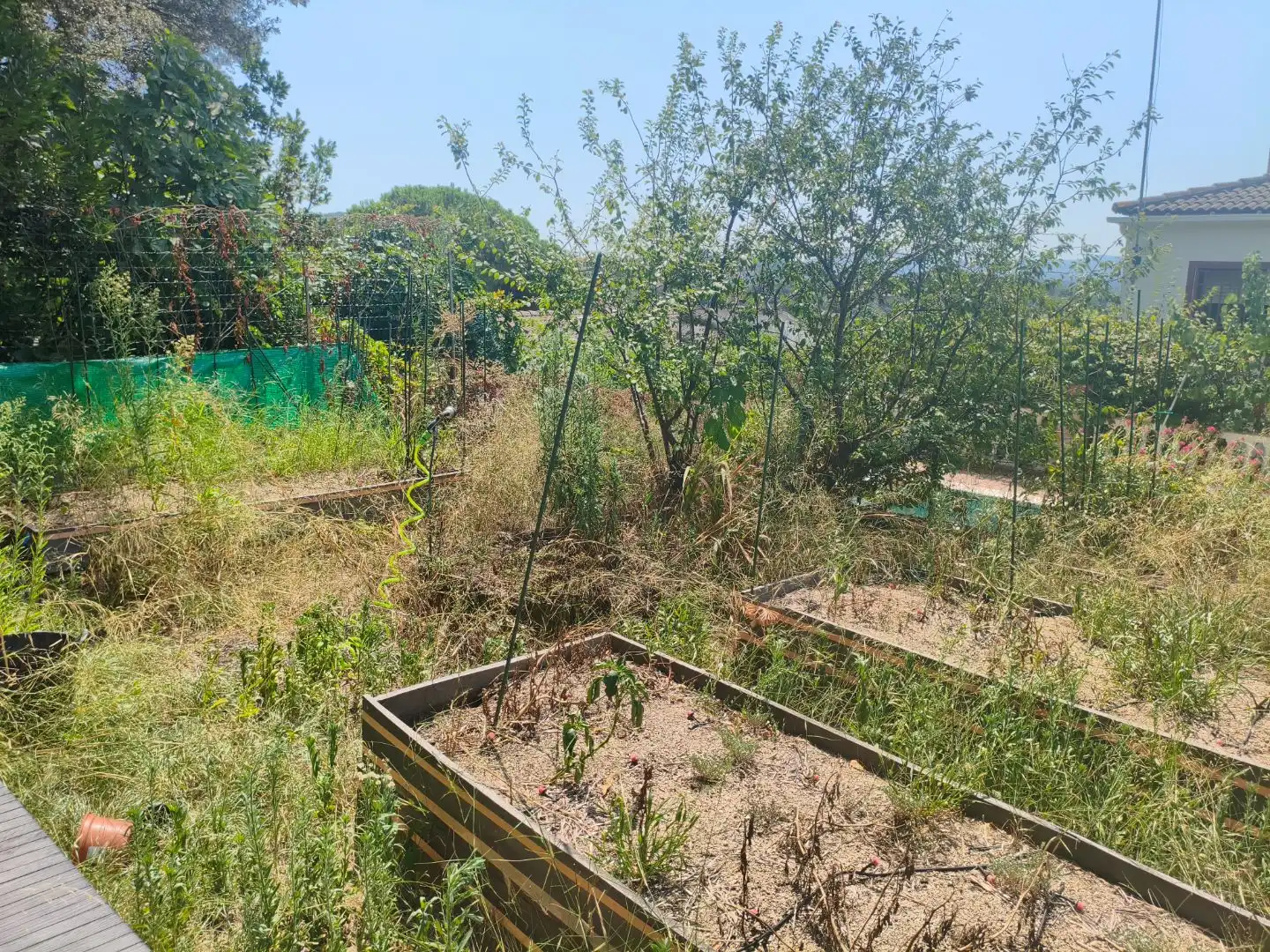 Villa avec piscine à vendre à AV ARBRES 1, imagen 40