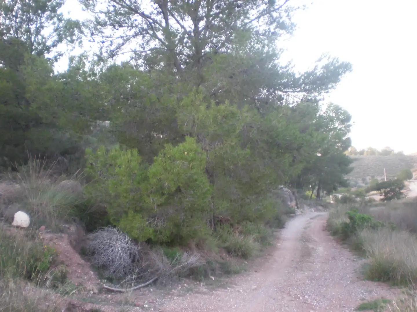 Terreno rustico in vendita a Pedanías Norte, imagen 7