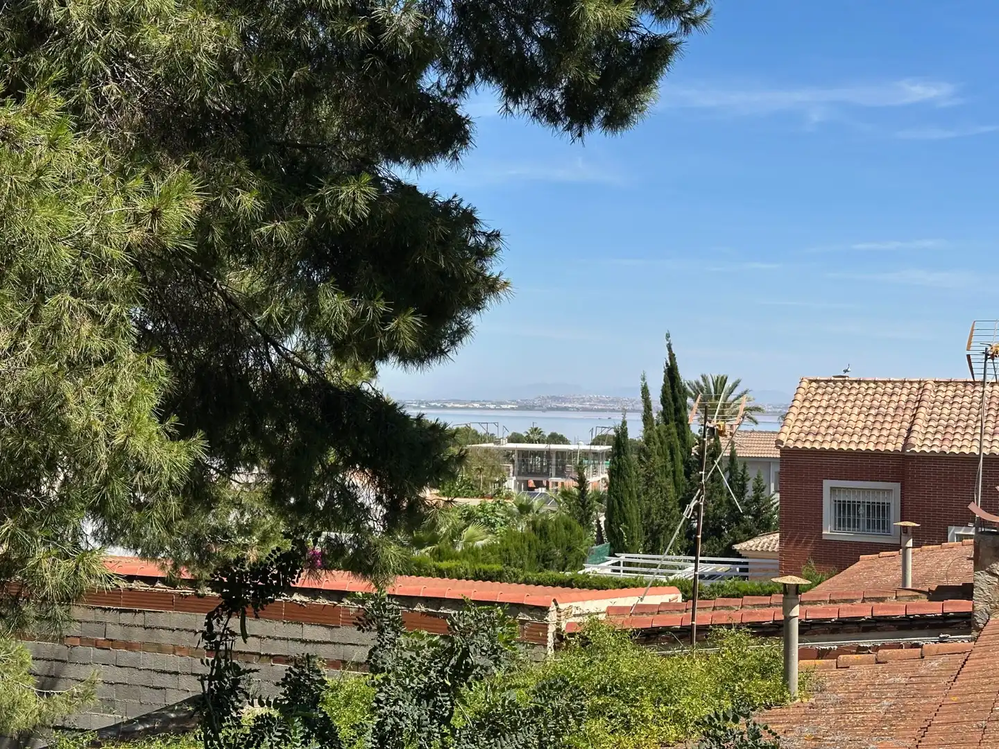 Exterior view of Houses for sale in Torrevieja  with Private garden, Terrace and Swimming Pool