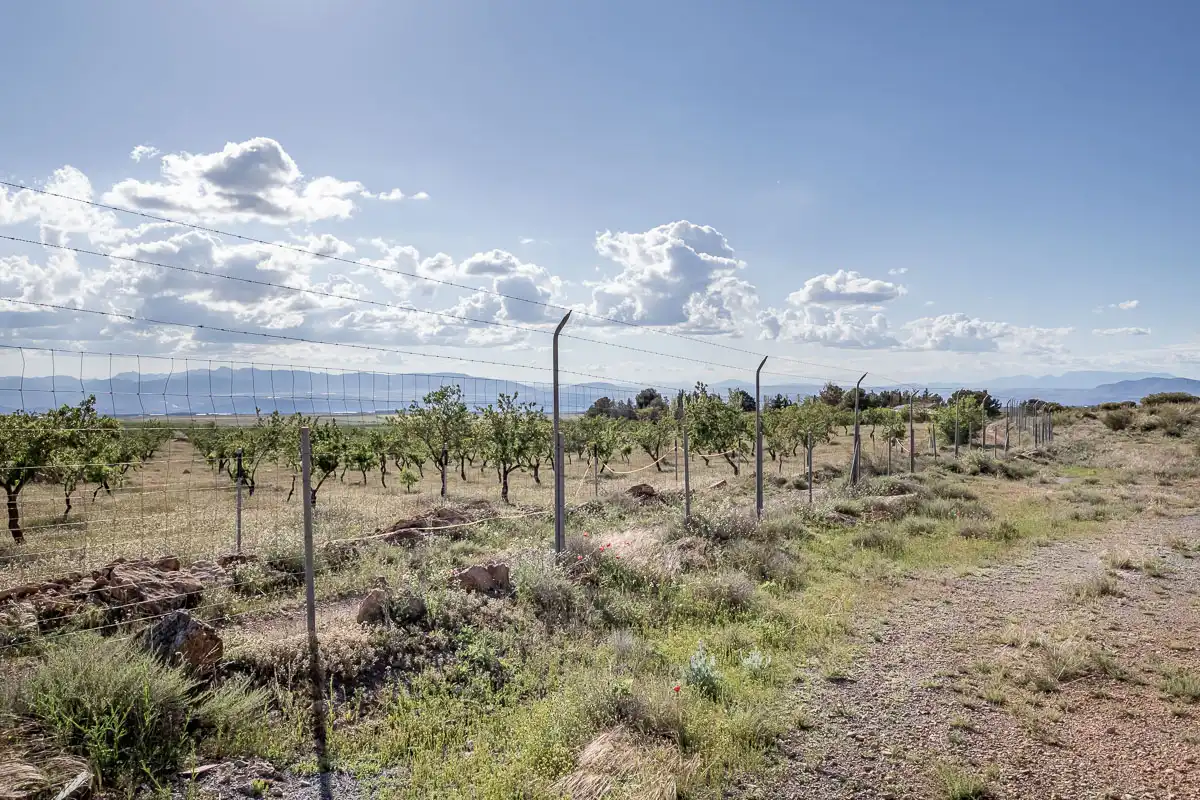 Terreno en venta en Beas de Guadix