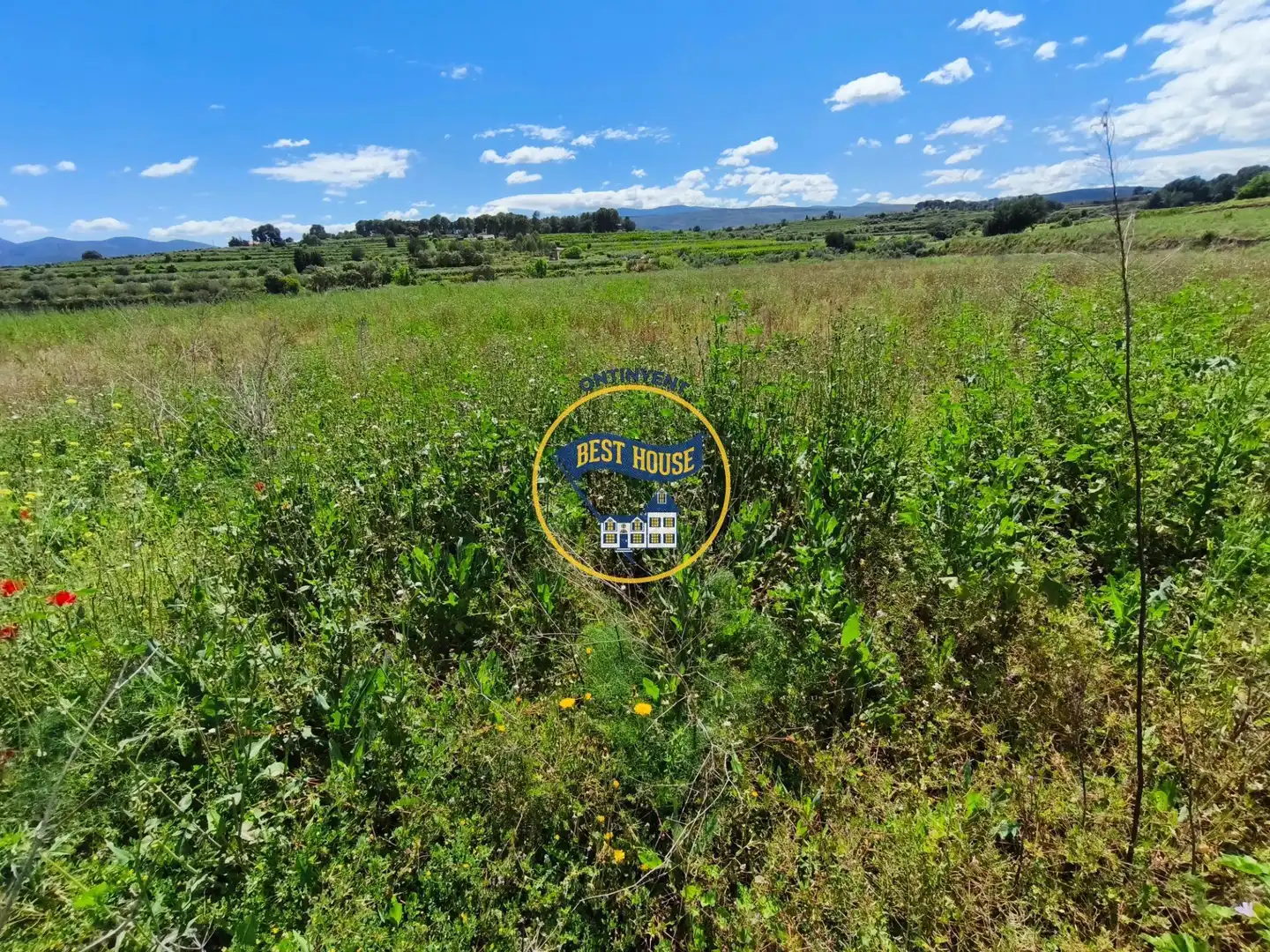 Terreny rústic en venda a Agullent, imagen 17
