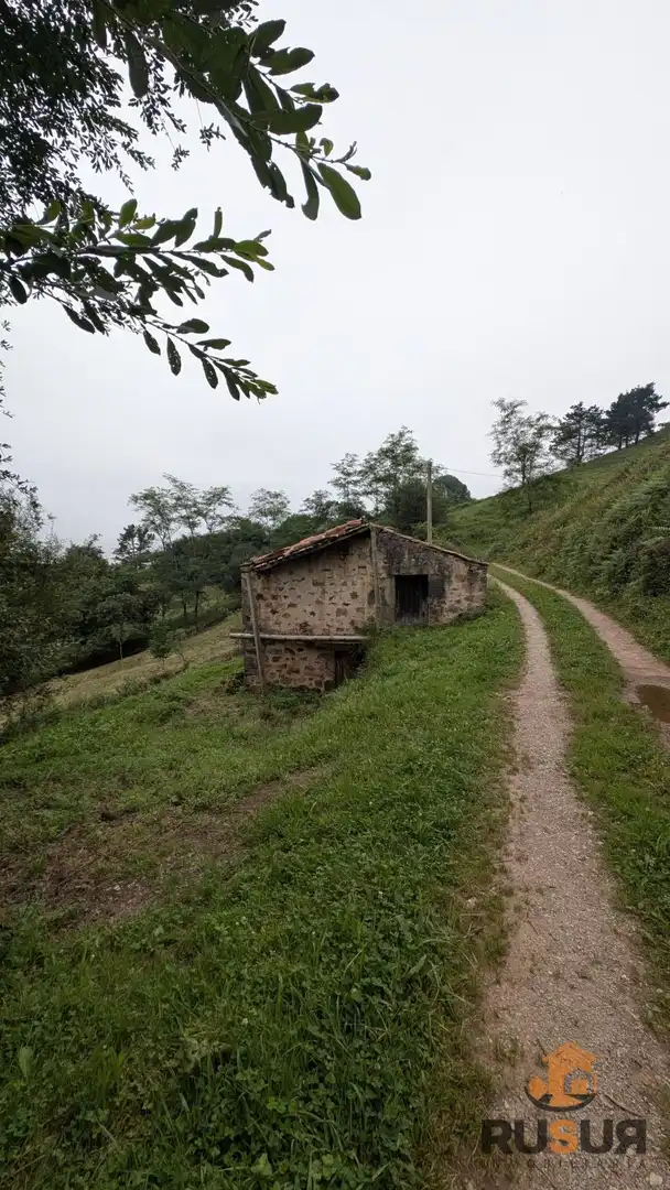 Vista exterior de Finca rústica en venta en Saro