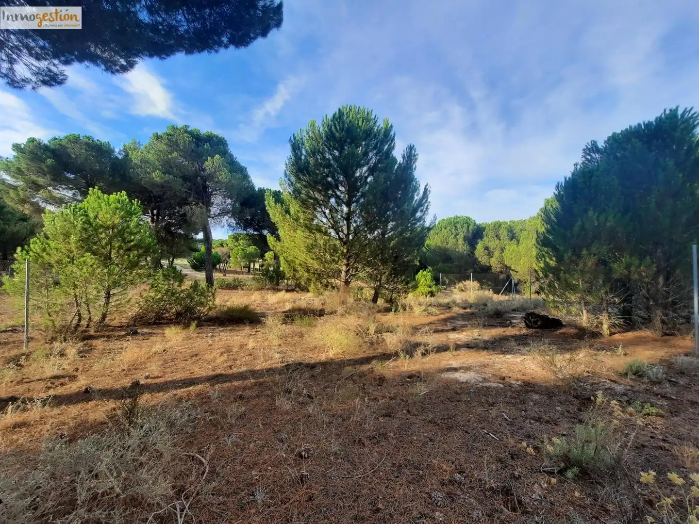 Terreno rustico in vendita a Carretera Tudela de Duero, imagen 2