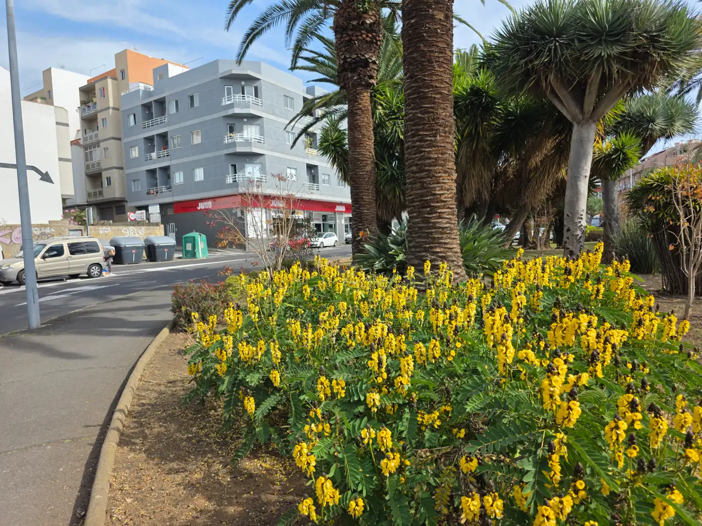 Vista exterior de Ático en venta en San Cristóbal de la Laguna con Terraza, Trastero y Horno