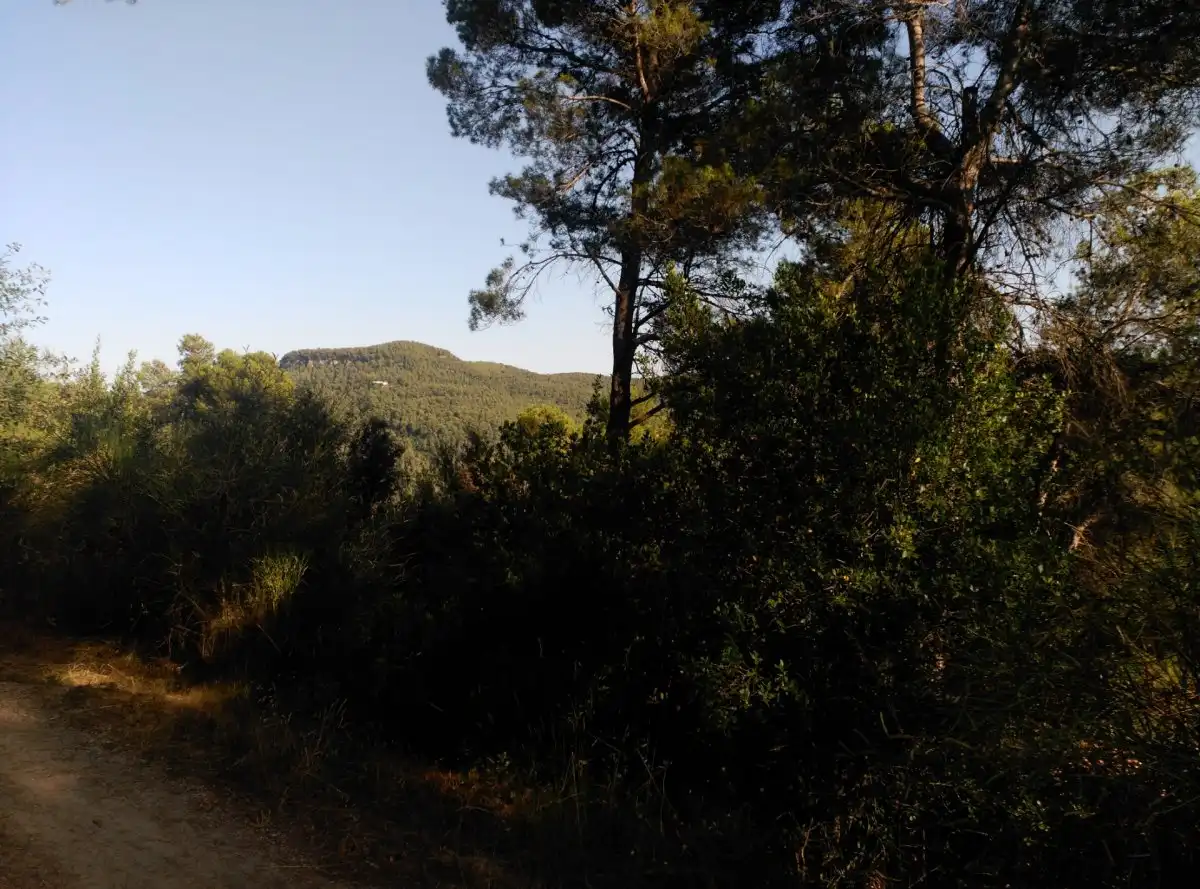 Terreni e lotti in vendita a Corbera de Llobregat, imagen 37