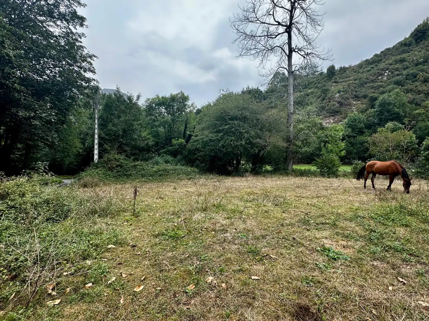 Residential for sale in Cangas de Onís