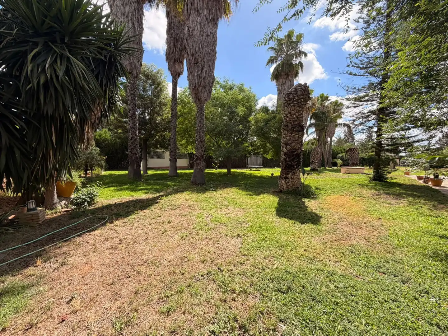 Villa à vendre à Sanlúcar la Mayor, imagen 3