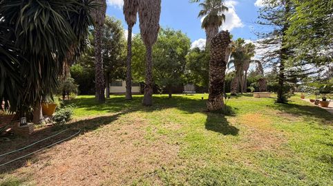 Foto 3 de Casa o chalet en venta en Sanlúcar la Mayor, Sevilla